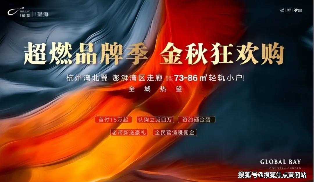 2025年新澳正版资料，精选解析与未来展望