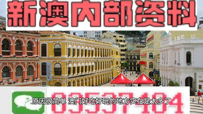 新澳门内部精准公开，精选解析与解释落实的深度探讨