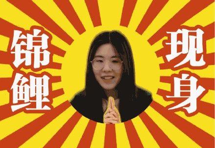 澳门天天开奖码结果，2025年全面释义与落实展望