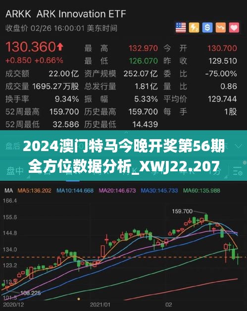 2025澳门今天特马开什么，解析与实用释义