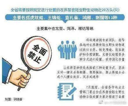 新澳大全2025正版资料，警惕虚假宣传，精选落实执行
