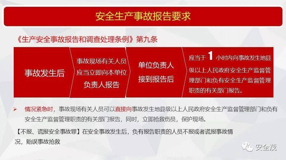 新奥天天精准资料大全，全面释义解释落实