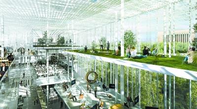 2025澳门历史记录，词语释义解释落实