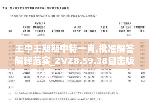 王中王期期中，全面释义解释落实