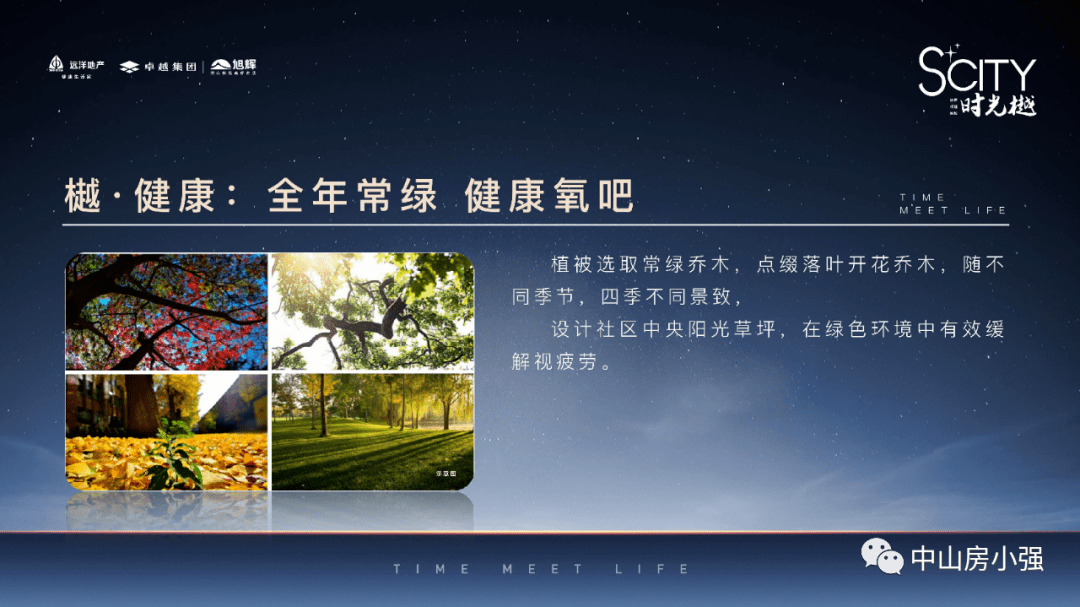 2025新澳门正版免费大全，精选解析解释落实