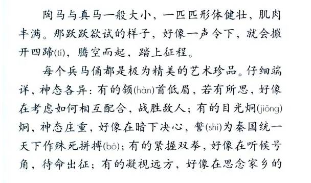 澳门一码一肖一待一中四不像一，词语释义解释落实