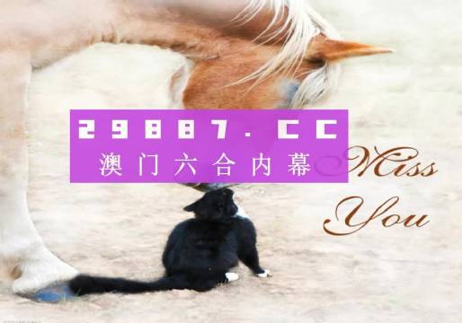 澳门4949今晚开奖，全面释义解释落实