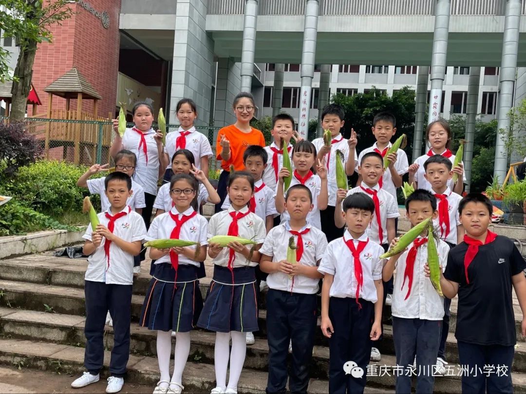 永川五洲小学最新动态