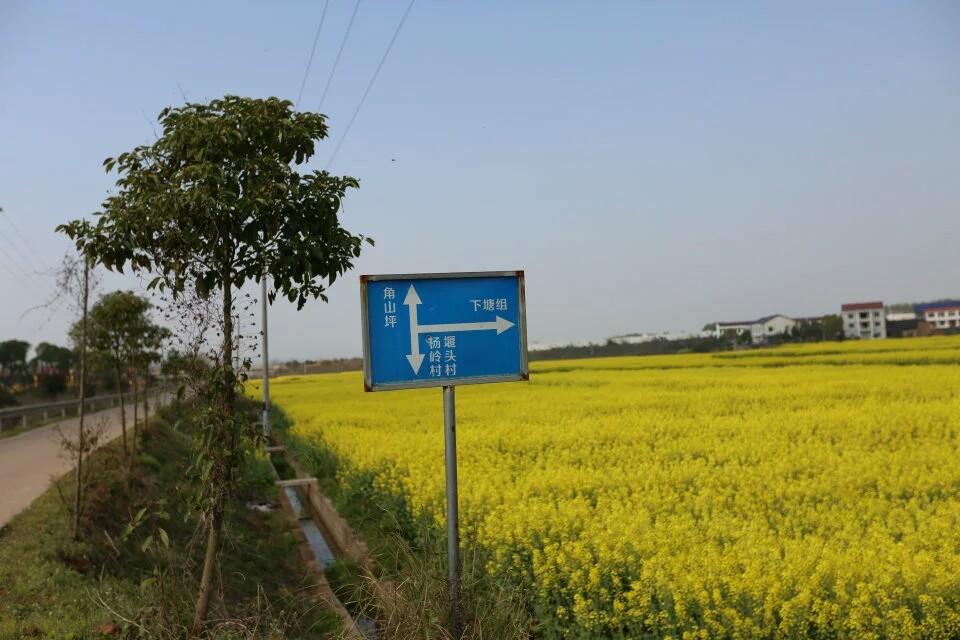 第236页