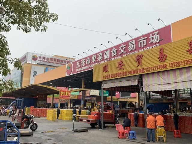 鞍山宁远农产品批发市场最新价格