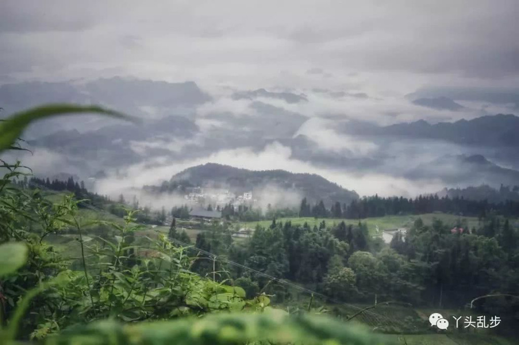 新闻 第74页