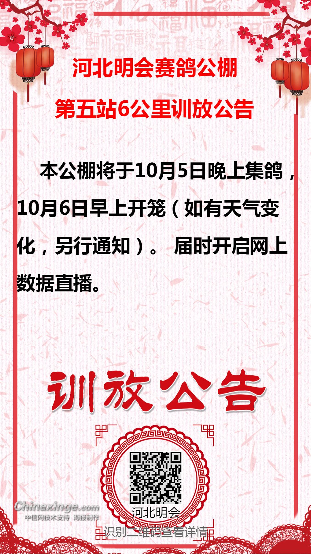 铭桥赛鸽公棚最新公告