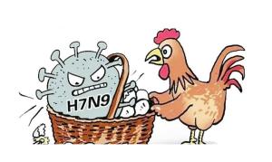 h1n9禽流感最新消息