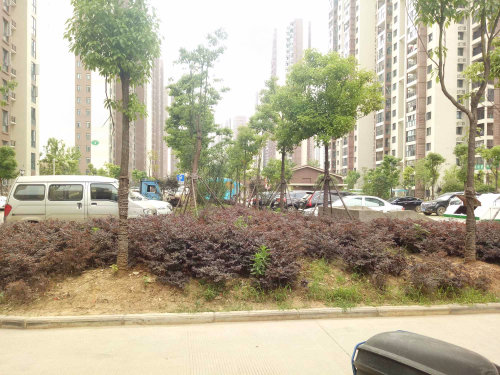 资讯 第44页
