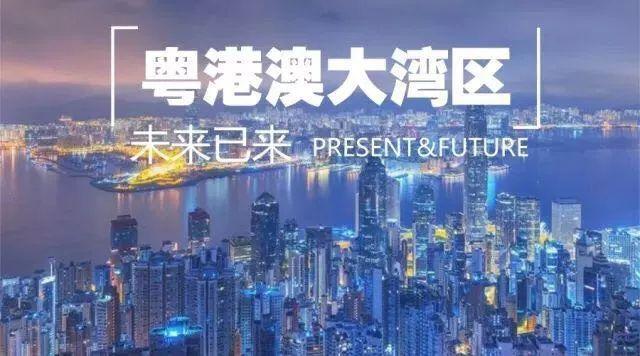 2025年新澳门与香港天天免费精准大全,构建释义、解释