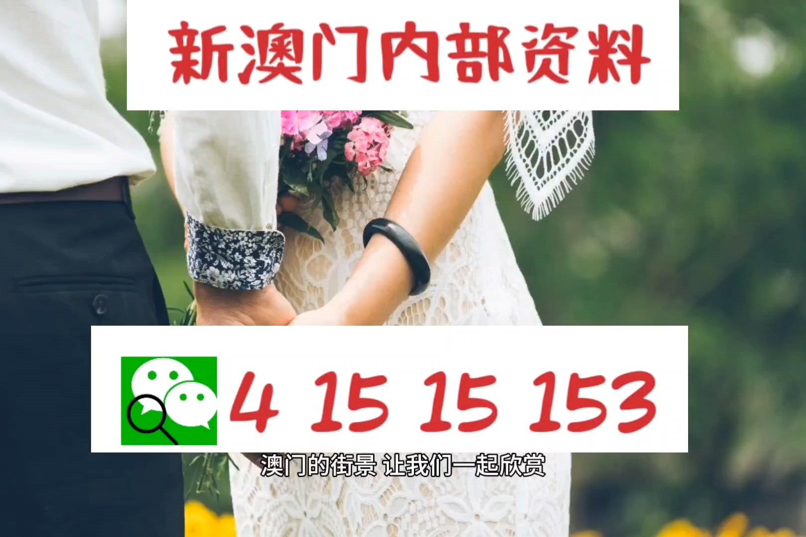 2025新澳门精准免费大全;警惕虚假宣传-精选解析解释落实