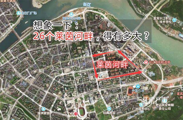 2024-2025正版资料免费解释;警惕虚假宣传-精选解析解释落实